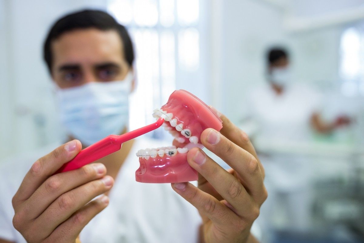 dentist-cleaning-dental-jaw-model-with-toothbrush (1)